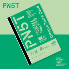 50532_158_PN5TR